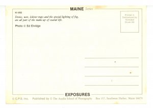 ME - Coastal Life. Dories, Nets, Lobster Traps & Fog   (continental size)