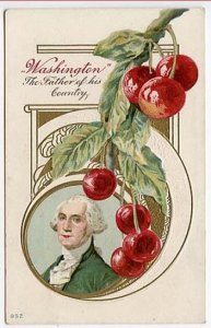 George Washington The Father of his Country Cherries Postcard