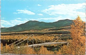 Postcard AK - Laird River Bridge mile 496 Alaska Highway