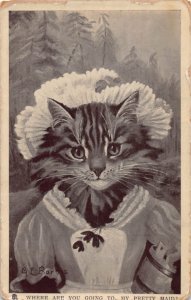 J78/ Interesting Postcard c1910 Artist Signed Barnes Dressed Cat 193