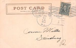 Bear Post Card Old Vintage Antique 1908