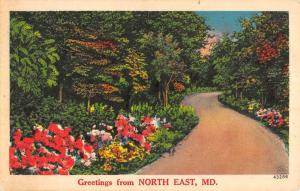 North East Maryland Greetings Spring Roadway Antique Postcard K23029