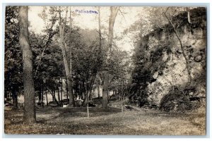 c1910's Palisades Forest Trees Cedar Rapids Iowa IA RPPC Photo Antique Postcard