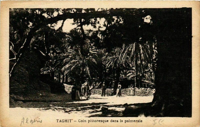 CPA AK Taghit Coin pittoresque dans la palmeraie ALGERIE (749090)