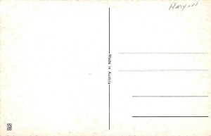 Devil Krampus Unused 