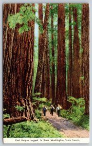 Washington~3 Men In Forest Logged By Paul Bunyan~Vintage Postcard