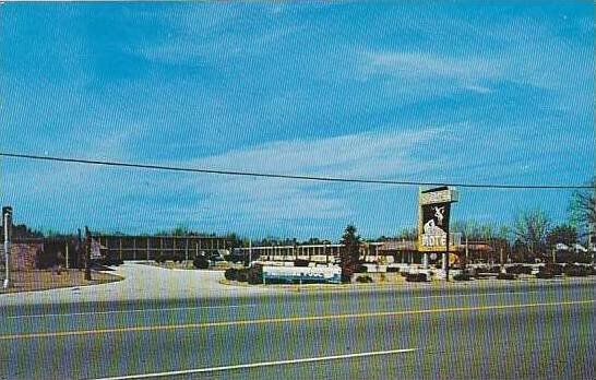 North Carolina Rockingham Sandman Motel