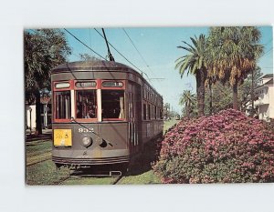 Postcard Along St. Charles Avenue, New Orleans, Louisiana