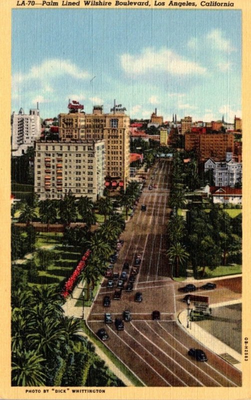 California Los Angeles Palm Lined Wilshire Boulevard Curteich