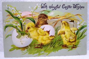 Tucks Easter Greetings Postcard Baby Chicks Eggs Helena J. Maguire Series 112