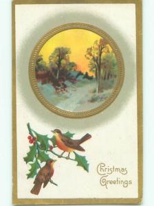 Divided-Back CHRISTMAS BIRDS SCENE Pretty Postcard W8568