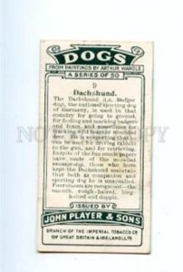 166936 DACHSHUND by WARDLE Player CIGARETTE card ADVERTISING