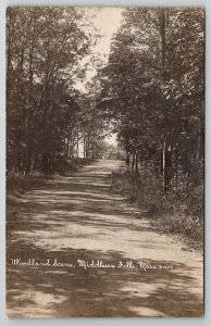 Middlesex Fells MA Woodland Scene 1915 Tufts College To Gloucester Postcard B33