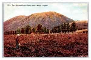 Lava Beds and Sunset Crater Flagstaff Arizona AZ UNP Unused DB Postcard W11