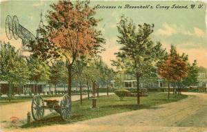 Amusement 1912 Entrance Ravenhall's Coney Island New York Postcard 3603