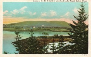 Vintage Postcard Scene On St. Croix River Showing Douchet Island Calais Maine ME