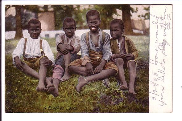Four Young Boys, A Bush of Coons, Black Americana, Used 1908 Message