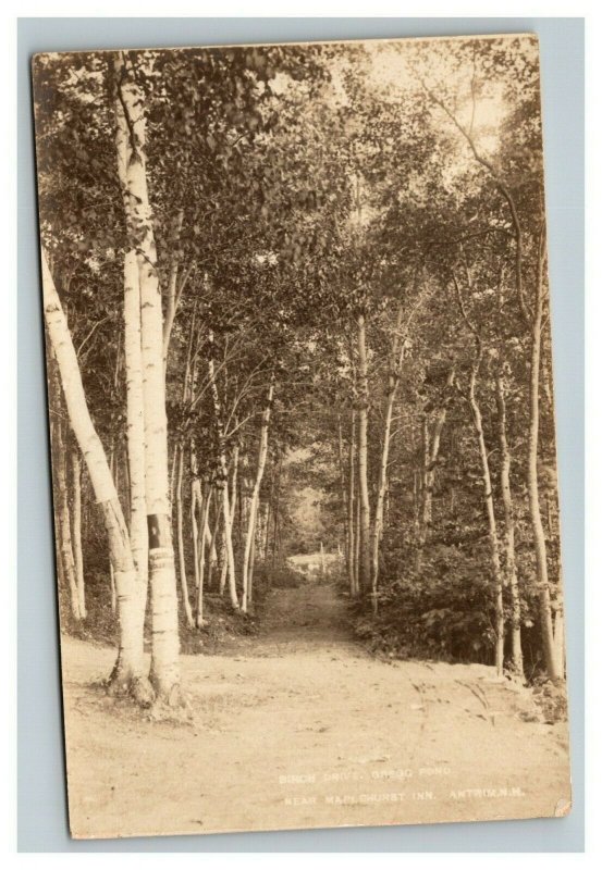 Vintage 1900's Photo Postcard Birch Drive Antrim New Hampshire