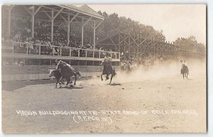 Rodeo COWBOYS Antique RPPC Mason Bulldogging Belle Fourche SD Horses 1910s Photo