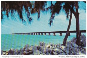 Seven Mile Bridge Pigeon Key Florida Keys