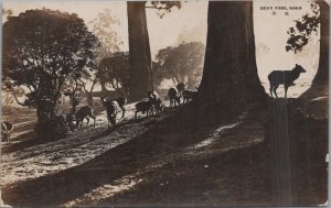 RPPC Postcard Deer Park Nara Japan