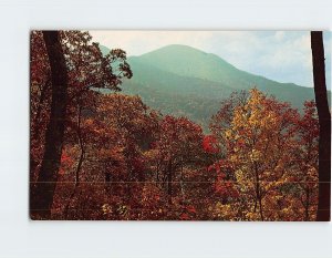 Postcard Fall Color Scene Of Mt. Pisgah, Western North Carolina