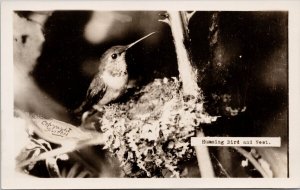 Hummingbird and Nest Small Bird Unused Sutton RPPC Postcard H50