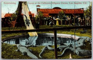 Vtg Los Angeles CA Guests At California Alligator Farm 1910s View Postcard