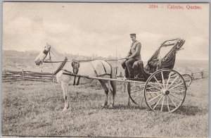 1906 Caleche Quebec City Horse Carriage Postcard Copp Clark H82