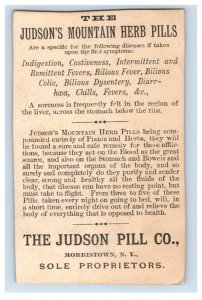 1880s Judson's Mountain Herb Pills Quack Medicine Soldiers Shield F106
