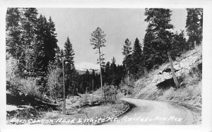 Dark Canyon Road, White Mountain real photo - Ruidoso, New Mexico NM