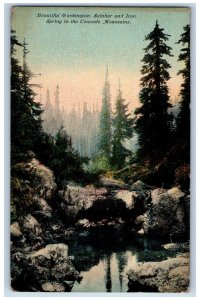 Tacoma Washington WA Postcard Sulphur Iron Spring Cascade Mountains 1910 Antique