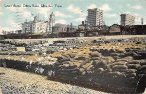 Memphis Tennessee Cotton Bales Levee Scene Vintage Postcard JE229044