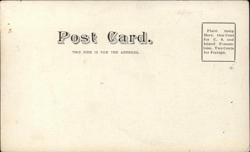 NEW MAXINE 10 Cent Cigar SMOKING AD ADVERTISING Postcard