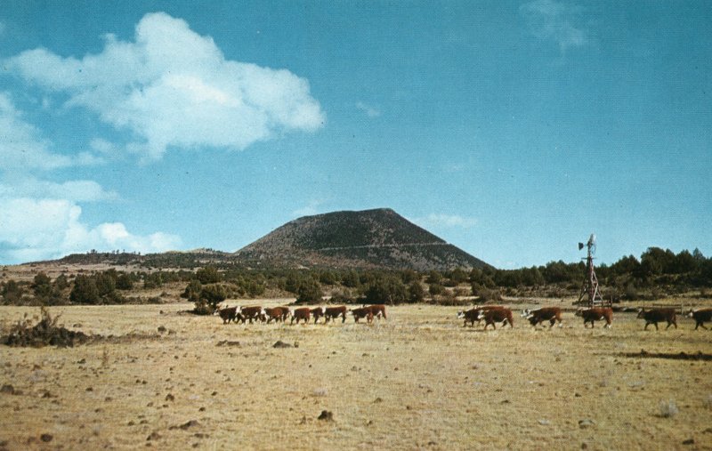 10964 Mt. Capulin, Near Raton, New Mexico