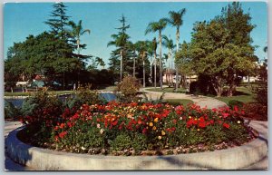 Vtg Anaheim California CA City Park Flower Bed 1950s View Postcard