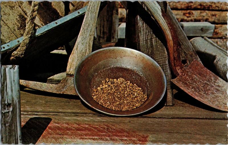 Pan of Gold Nuggets Bonanza Mining Museum Dawson City Yukon Postcard N07