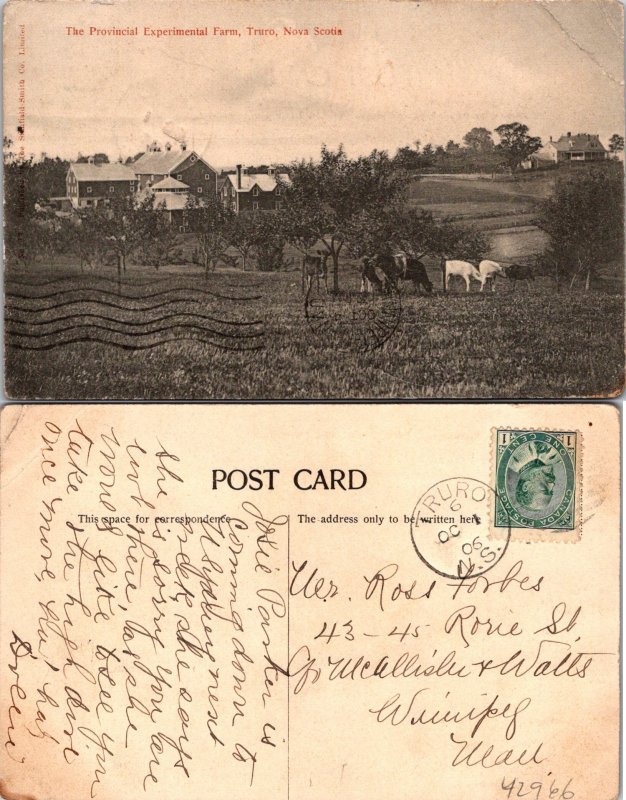 Truro Nova Scotia Provincial Experimental Farm Postcard Used (42966)