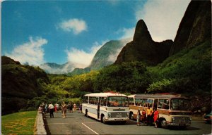 VINTAGE POSTCARD TORURIST BUSES AT MAUI'S IAO NEEDLE VOLCANIC SPIRE 1960s