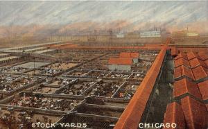 Chicago Illinois~Stock Yards Bird's Eye View~Cattle in Corrals~c1910 Postcard