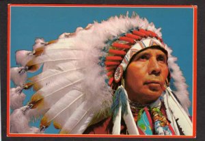 Indian Chief Full Head Dress Native American Culture Postcard