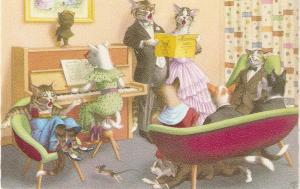 \The concert\ Mainzer dressed cats PC #4892, Belgium