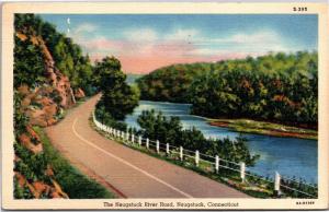 The Naugatuck River Road, Naugatuck Connecticut c1942 Vintage Postcard I09