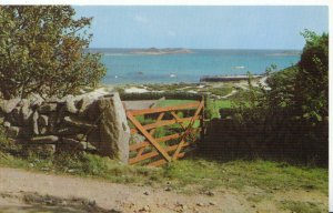 Cornwall Postcard - The View from Higher Town - St Martin's - Scilly - Ref 4466A