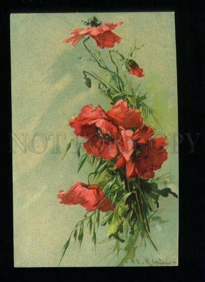 134491 POPPY Bouquet Flowers by C. KLEIN Vintage PFB Color PC