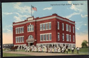 42220) Maryland RIDGELY Agricultural High School - Divided Back