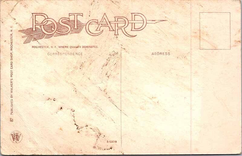 Postcard BRIDGE SCENE Rochester New York NY AM6018