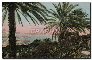 Algeria Oran Old Postcard Palms