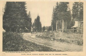 Postcard 1915 Colorado Grand Mesa Kodak Street Views Albertype 23-13158