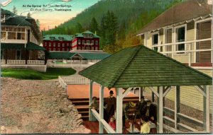 Vtg Postcard c 1908 Olympic Forest At the Springs Sol Duc Hot Springs UNP